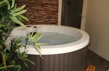 Villa bord de mer avec piscine et jacuzzi - Foto 5