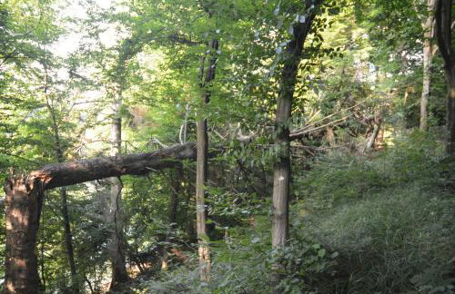 Domki Pod Lasem - Photo 36