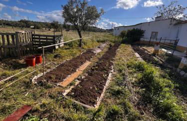 Qta Casa Seleiras - Guest House - Foto 74