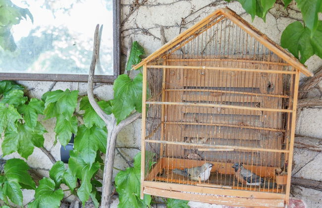 Charming Cottage in Oppede Amidst Vineyards - Foto 67