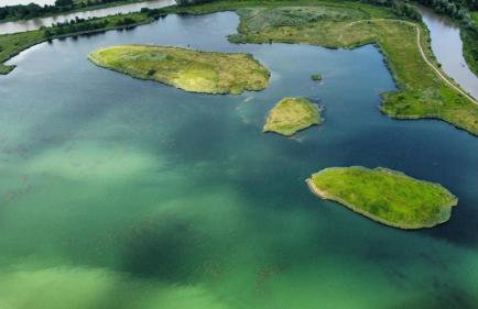 Winnica Strzegocice SPA - Foto 59