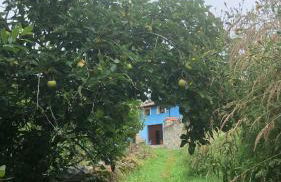 La Galayca - Foto 31