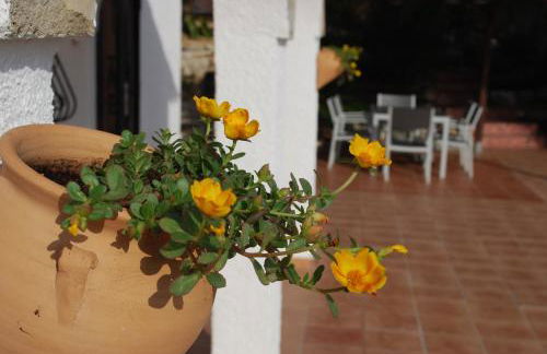 Villa Bello Horizonte regio Denia - Javea - Foto 29