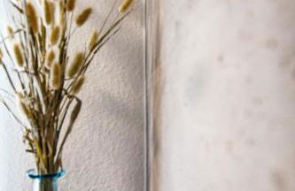 Ferienhaus AlbSommer - FehlaTal - Foto 19