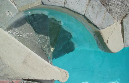 Agriturismo Timignano - Foto 4