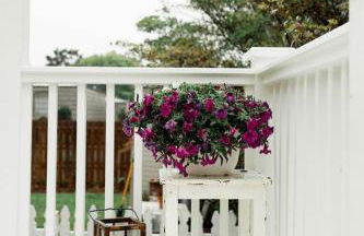 Historic Garden Suite Walk to Bay and Downtown - Foto 8