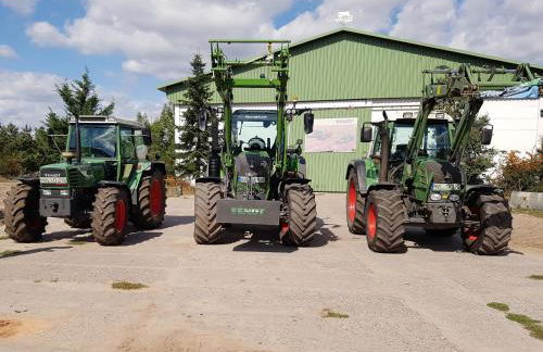 Naturferienhof Märkisch Luch - Trapphahn - Foto 23