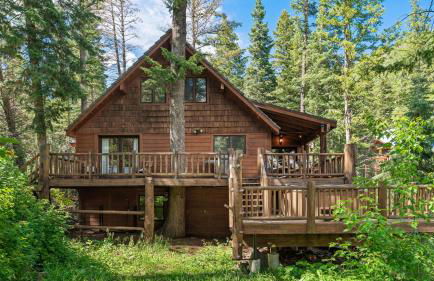 OVER THE RIVER AND THROUGH THE WOODS - Foto 1