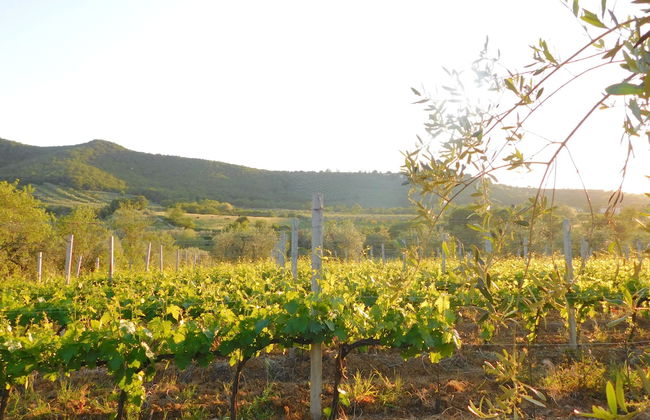 Borgo Cenaioli - Photo 39