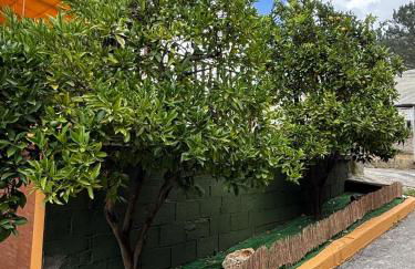 Estancia Edurne - Foto 35