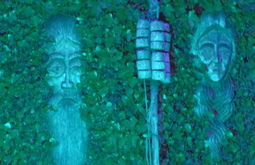 Ferienwohnungen "Strand & Gut" - Dietmar Opel - Foto 57