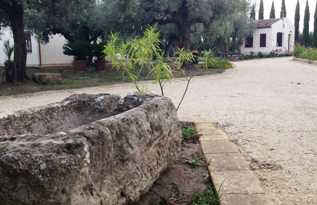 Agrisicilia - Foto 38