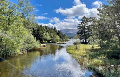 Osprey Apartment - Foto 43