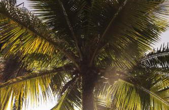 Øko Villa - Foto 16