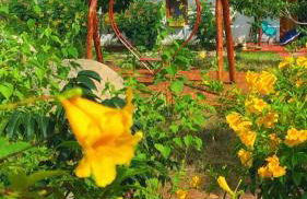 Ranchinho do Jabre - Casa de campo no frio da Serra - Photo 15