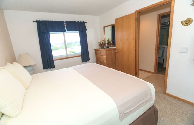 The Grey Gull - Foto 79