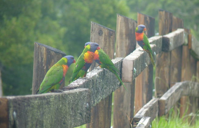 Bellthorpe Stays - Foto 46