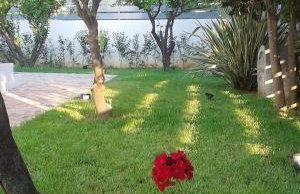 Villa Titi - Foto 52