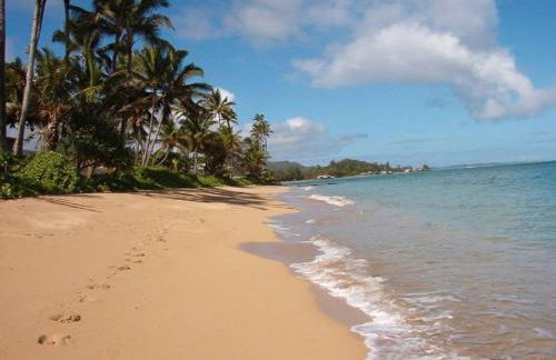 Luxurious Beachfront Condo - Foto 49