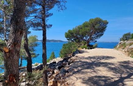 Apartmani Stipe - Foto 58