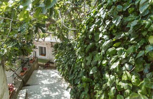 Apartment Kuzmanić - Foto 26