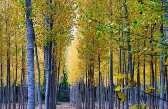 El Paraíso Del Rey - Foto 57