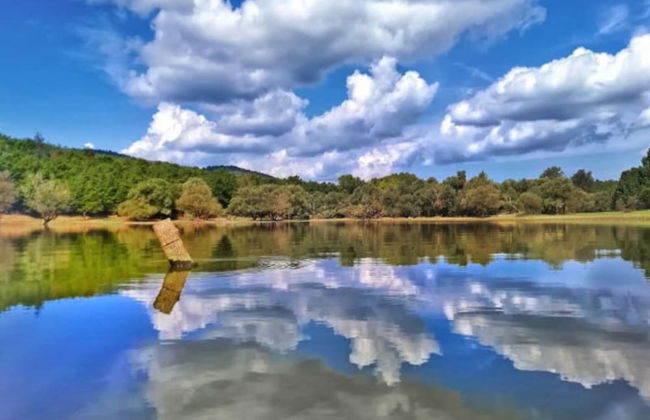 Fattoria Santa Vittoria Apartment "lepre" - Foto 38