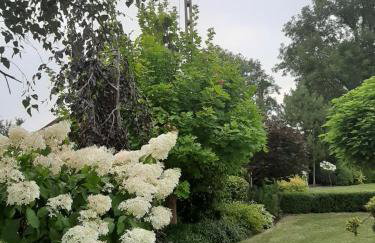 Podlaska Oaza - Dom całoroczny z sauną. - Foto 27