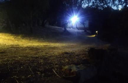 Casa dos Terranhos - Foto 27