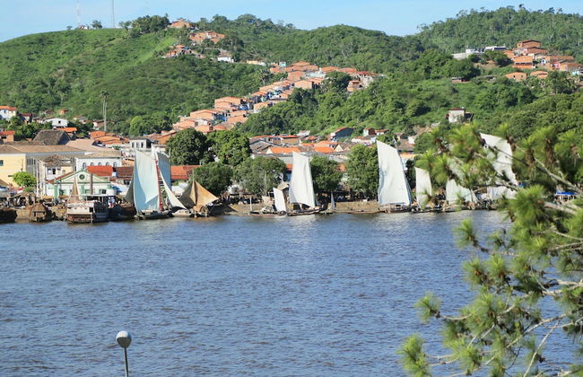 La Buena Vida Apartamentos - Foto 57