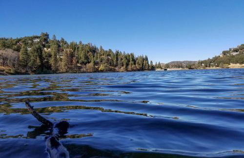 The Atomic Squirrel Lodge Lake Gregory Getaway! - Foto 36