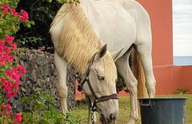 Quinta da Falesia - Casa Branca - Photo 3