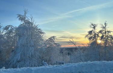 Panorama-Suite mit Kamin & Balkon, Ruhe, Weitblick & Natur im Schwarzwald - Foto 30