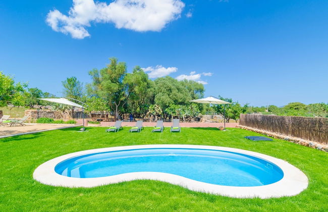 Can Potdir in Ariany - Foto 4