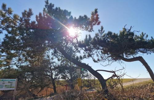 Haus-Fehmarn-am-Dorfteich-|-Wohnung-3-Nord - Foto 50