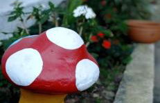 Recanto das Neves - Foto 29