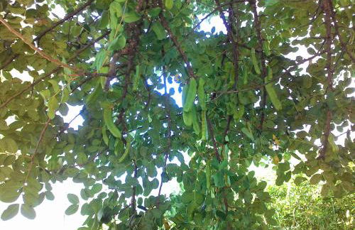 Residence La Carruba - Foto 74