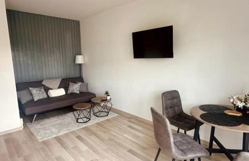 Gemütliche 1-Zimmer-Wohnung im Zentrum mit Stellplatz - Foto 1