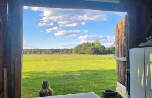 Siedlisko Magnolia - Foto 53