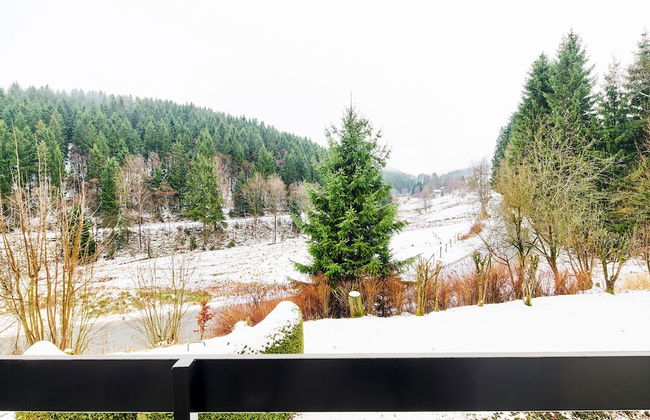 Apartment Winterberg - Stylish - Foto 15