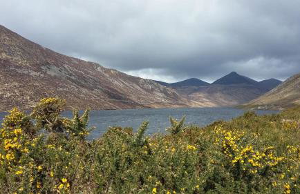 Bracken Cottage - Photo 27