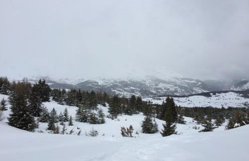 La joue du loup, aux pieds des pistes et vue sur montagnes - Photo 24
