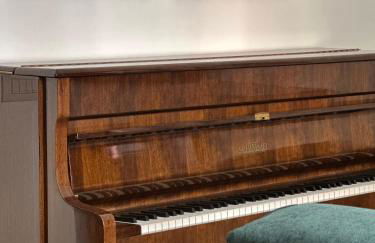 PrimoPiano Centro - Foto 5