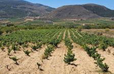 Casa Rural Pilar Seco - Foto 31