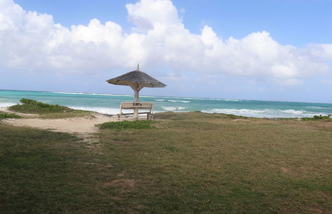 Beach Palm Villa - Photo 56