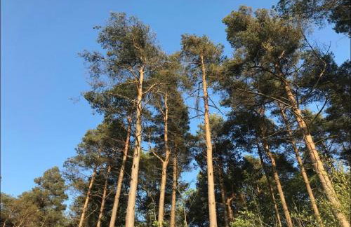 Flying Scotsman Unique Carriage Pet Friendly! Lazy Spa can be available upon request with additional cost of 40 - Foto 35