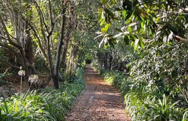 Aveiro Maias Village - CASA DA ROSA - Foto 4