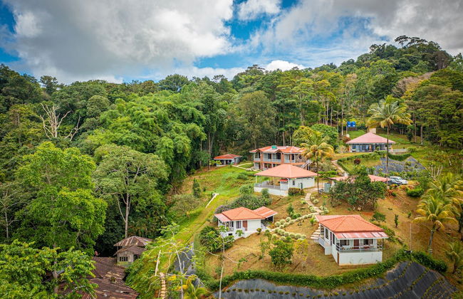 Colinas Tinamastes - Foto 70