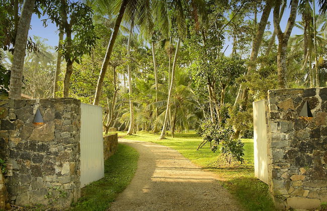 Ivory House - Foto 55