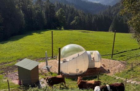 Hansjörgenhof Bioland-Hof - Foto 12